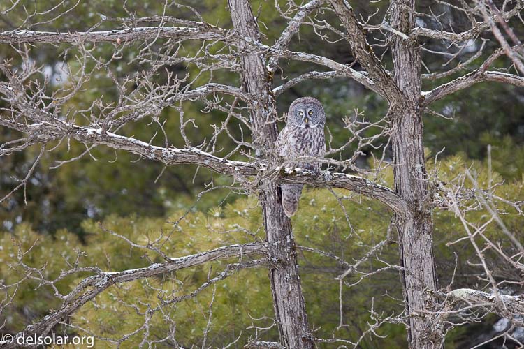 Canon EOS 5D Mark II  --  300 mm  --  EF300mm f/2.8L IS USM  