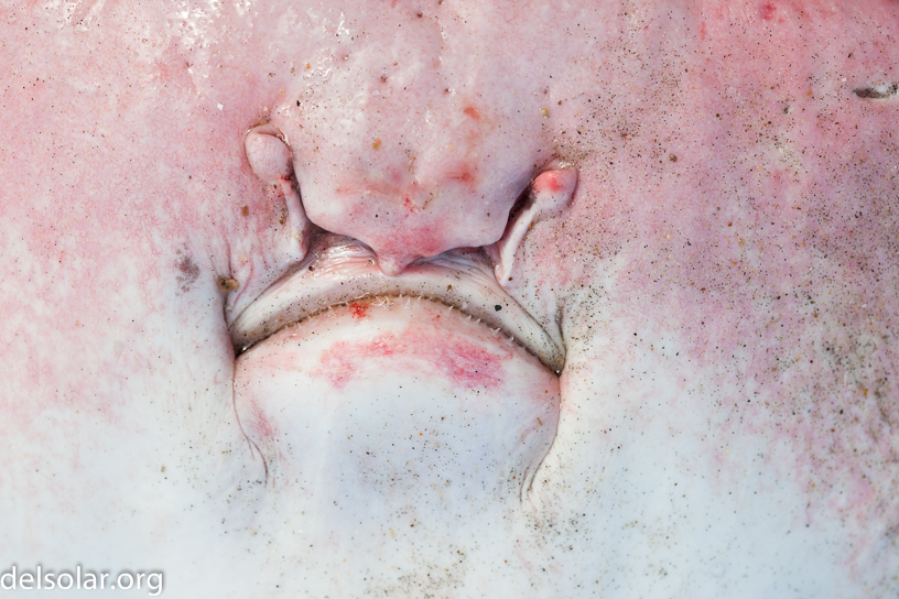 Canon EOS 5D Mark II - EF100mm f/2.8 Macro USM