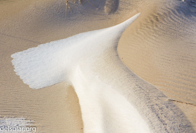 Canon EOS 5D Mark II - EF24-105mm f/4L IS USM