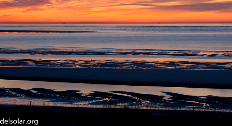 Canon EOS 5D Mark II - EF70-200mm f/4L USM