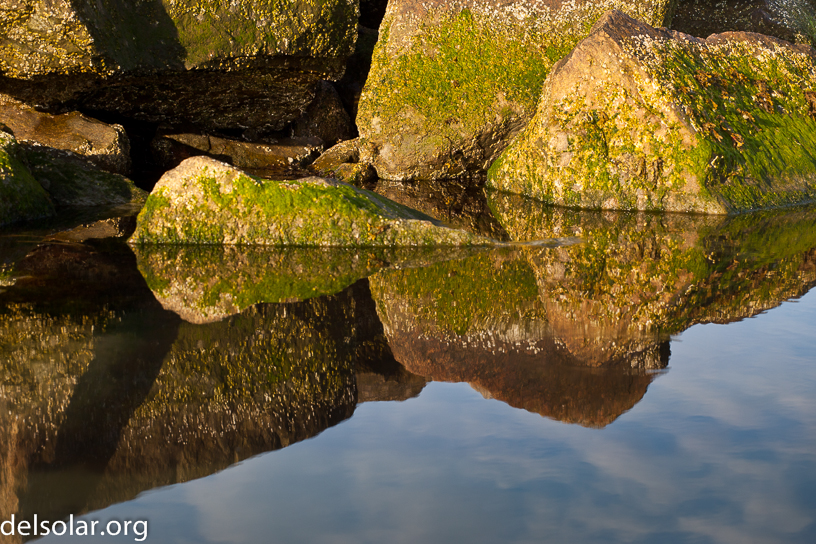 Canon EOS 5D Mark II - EF70-200mm f/4L USM