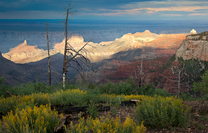 Canon EOS 5D Mark II - EF24-105mm f/4L IS USM