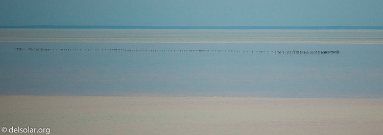 Canon EOS 5D Mark II  --  184 mm  --  EF70-200mm f/4L USM  