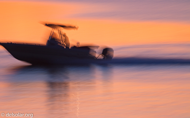 Canon EOS 7D  --  400 mm  --  EF400mm f/5.6L USM  