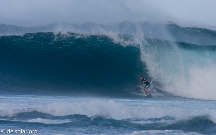 Canon EOS 40D  --  700 mm  --  EF500mm f/4L IS USM +1.4x  