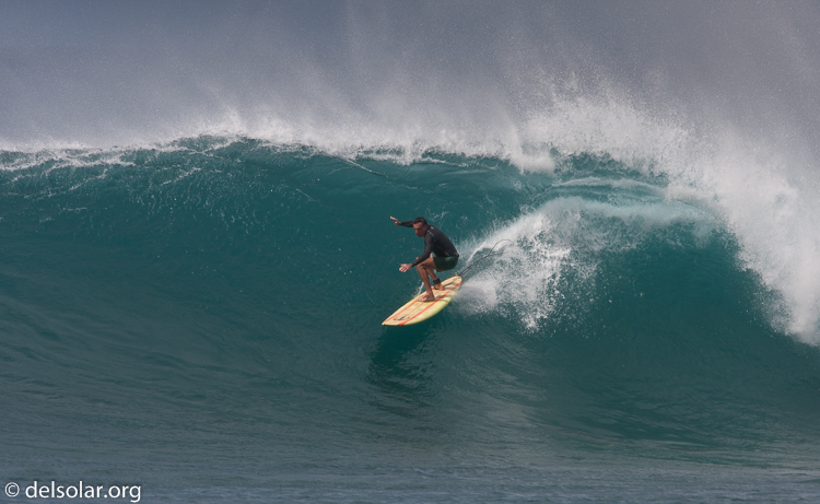 Canon EOS 40D  --  700 mm  --  EF500mm f/4L IS USM +1.4x  