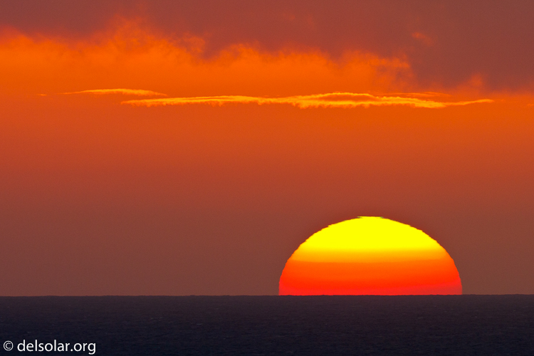 Canon EOS 40D  --  500 mm  --  EF500mm f/4L IS USM  