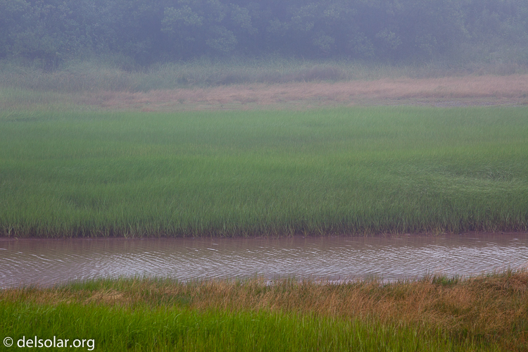 Canon EOS 5D Mark II  --  200 mm  --  EF70-200mm f/4L USM  