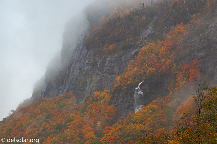 Canon EOS 5D Mark II  --  145 mm  --  EF70-200mm f/4L USM  