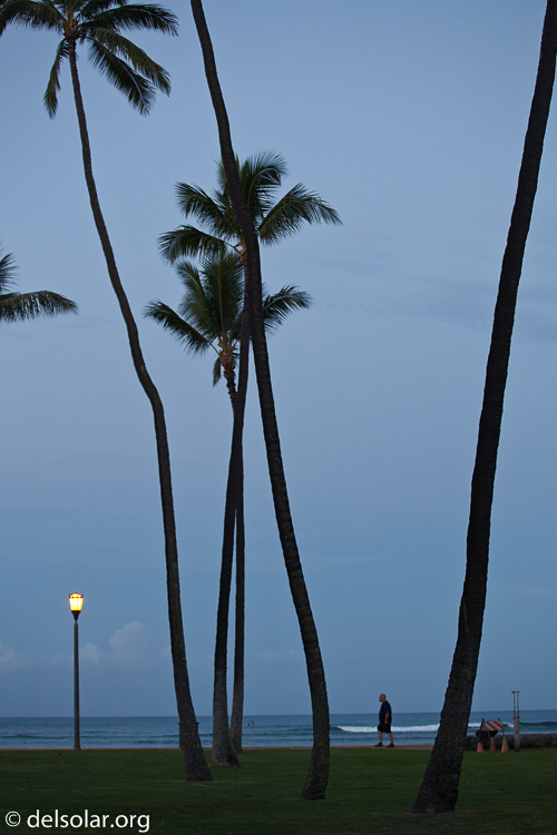 Canon EOS 5D Mark II  --  75 mm  --  EF70-200mm f/4L USM  