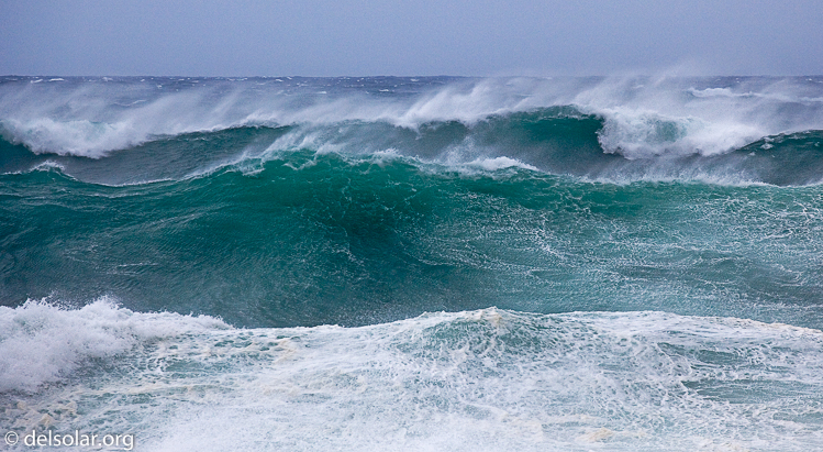 Canon EOS 5D Mark II  --  200 mm  --  EF70-200mm f/4L USM  