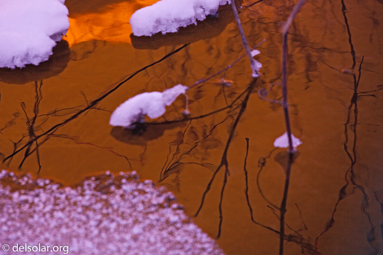 Canon EOS 5D Mark II  --  200 mm  --  EF70-200mm f/4L USM  