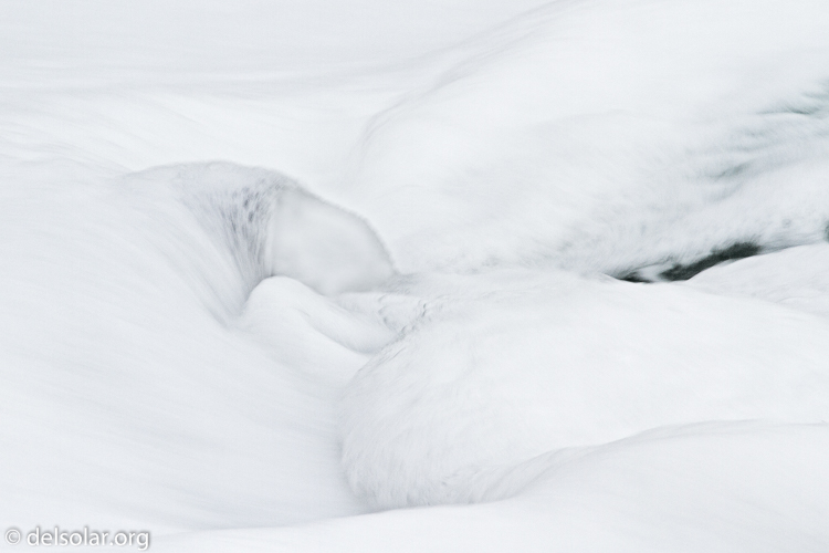 Canon EOS 7D  --  400 mm  --  EF400mm f/5.6L USM  