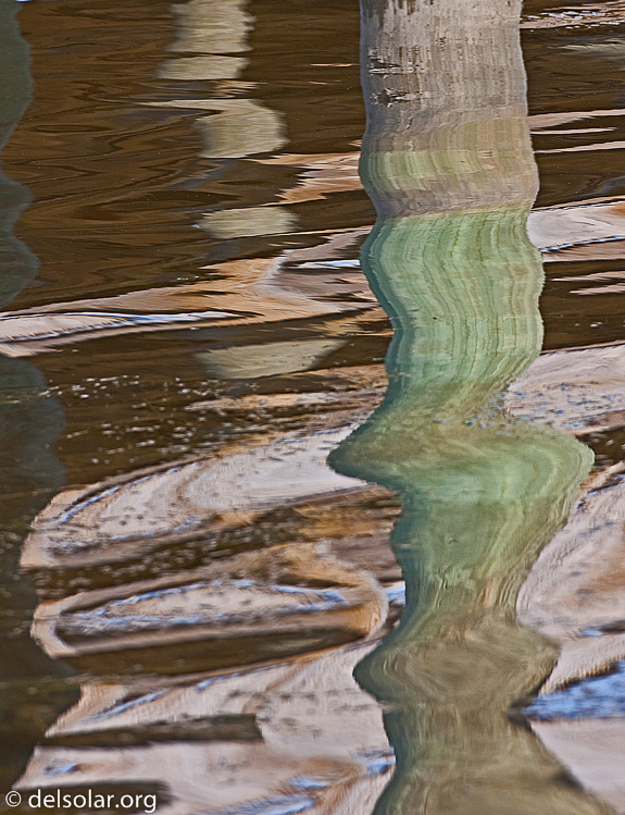 Canon EOS 40D  --  500 mm  --  EF500mm f/4L IS USM  