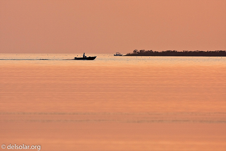 Canon EOS 40D  --  500 mm  --  EF500mm f/4L IS USM  