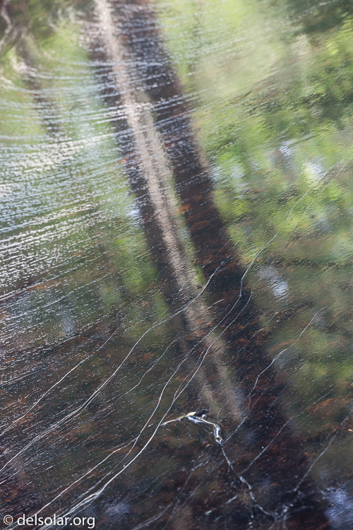 Canon EOS 5D Mark II  --  149 mm  --  EF70-200mm f/4L USM  