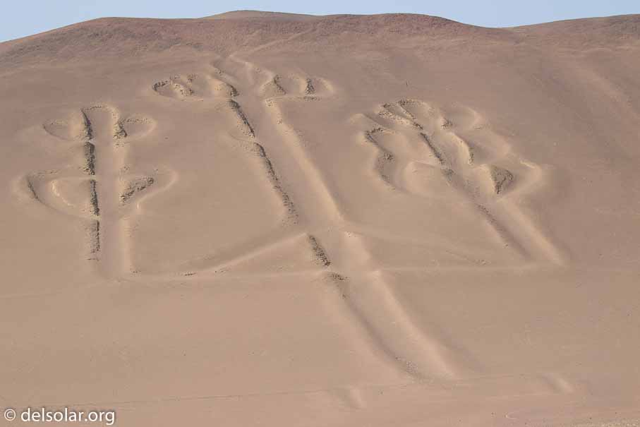 Canon EOS 7D Mark II  --  100 mm  --  EF100-400mm f/4.5-5.6L IS II USM  