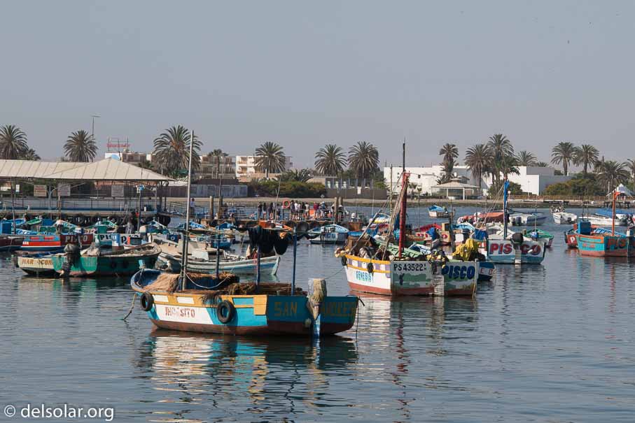 Canon EOS 5D Mark III  --  73 mm  --  EF24-105mm f/3.5-5.6 IS STM  