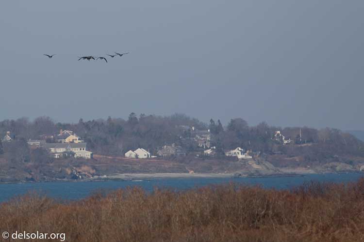 Canon EOS 5D Mark III  --  400 mm  --  EF400mm f/5.6L USM  