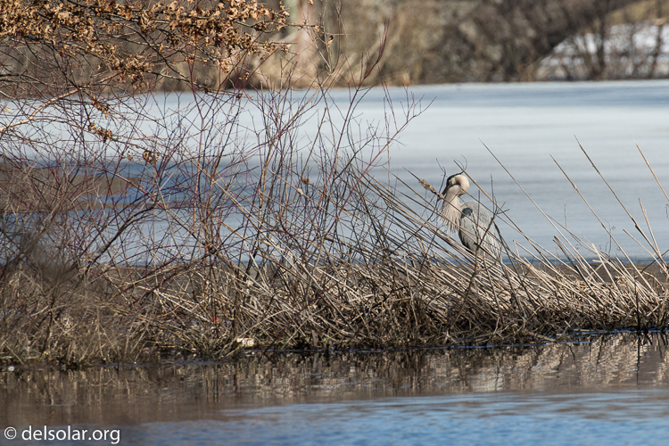 Canon EOS 5D Mark III  --  400 mm  --  EF100-400mm f/4.5-5.6L IS II USM  