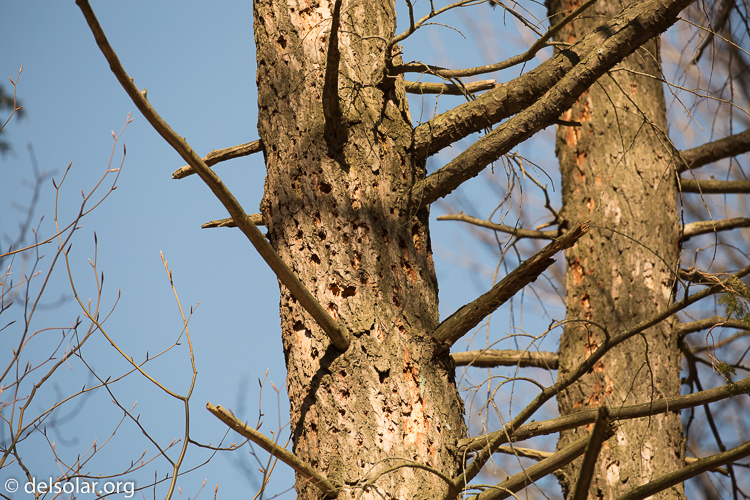 Canon EOS 5D Mark III  --  340 mm  --  EF100-400mm f/4.5-5.6L IS II USM  