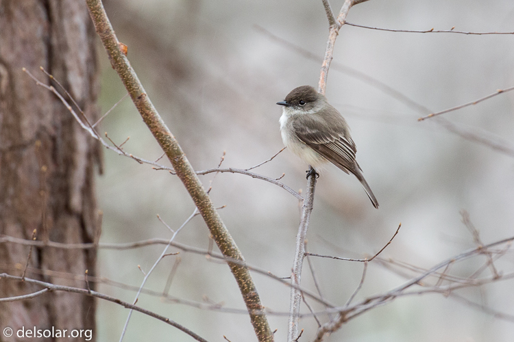 Canon EOS 5D Mark III  --  400 mm  --  EF100-400mm f/4.5-5.6L IS II USM  