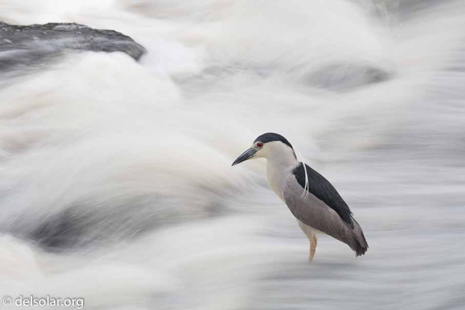 Canon EOS 5D Mark III  --  348 mm  --  EF100-400mm f/4.5-5.6L IS II USM +1.4x III  