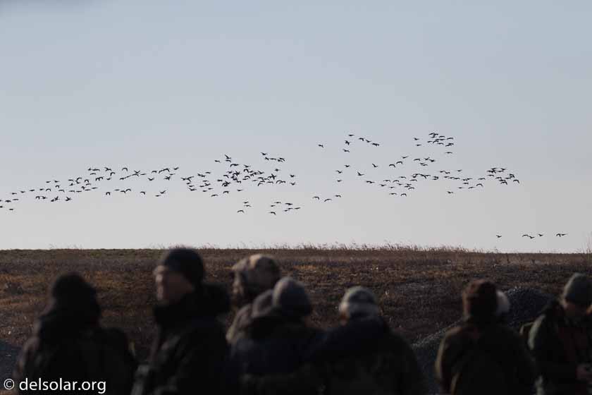 Canon EOS 7D Mark II  --  189 mm  --  EF100-400mm f/4.5-5.6L IS II USM +1.4x III  