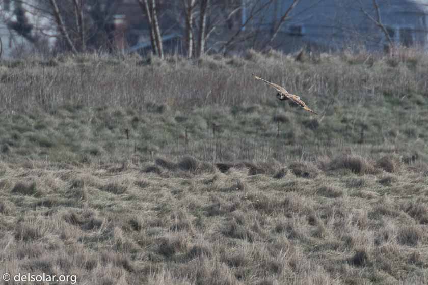 Canon EOS 7D Mark II  --  560 mm  --  EF100-400mm f/4.5-5.6L IS II USM +1.4x III  