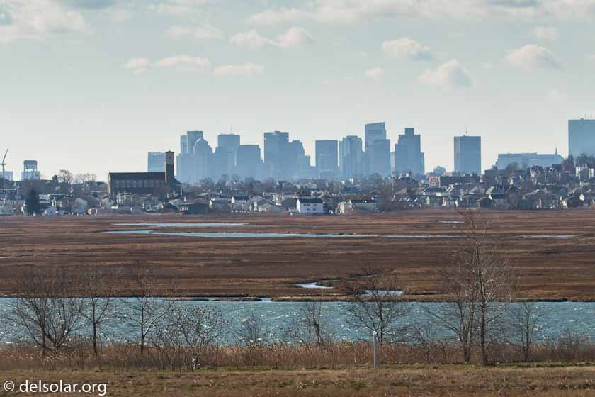 Canon EOS 7D Mark II  --  140 mm  --  EF100-400mm f/4.5-5.6L IS II USM +1.4x III  