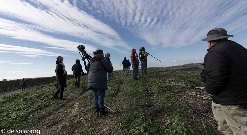 ILCE-6000  --  10 mm  --  DT 0mm F0 SAM  