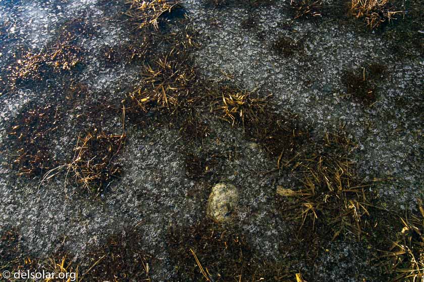 ILCE-6000  --  18 mm  --  DT 0mm F0 SAM  