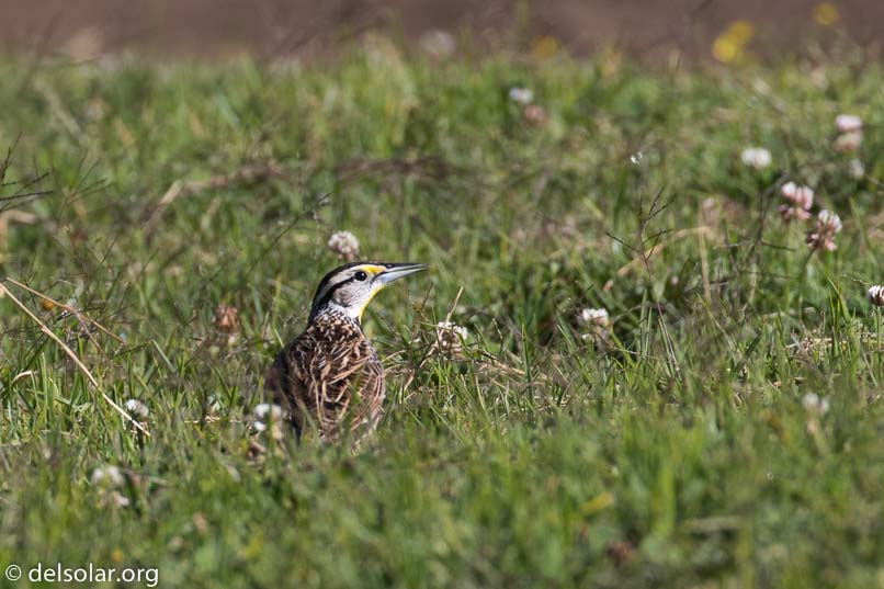 Canon EOS 7D Mark II  --  360 mm  --  EF100-400mm f/4.5-5.6L IS II USM  