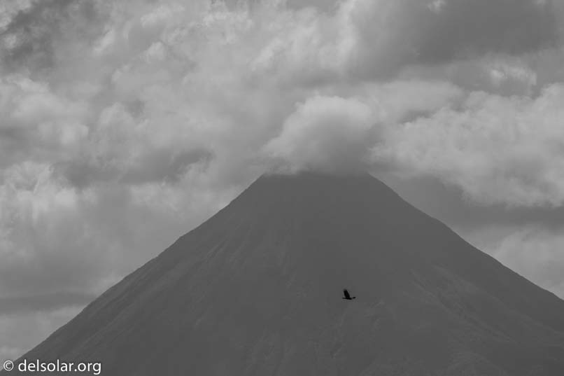 Canon EOS 7D Mark II  --  330 mm  --  EF100-400mm f/4.5-5.6L IS II USM  