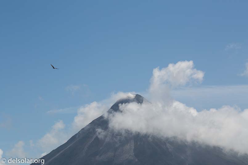 Canon EOS 5D Mark III  --  135 mm  --  EF100-400mm f/4.5-5.6L IS II USM  