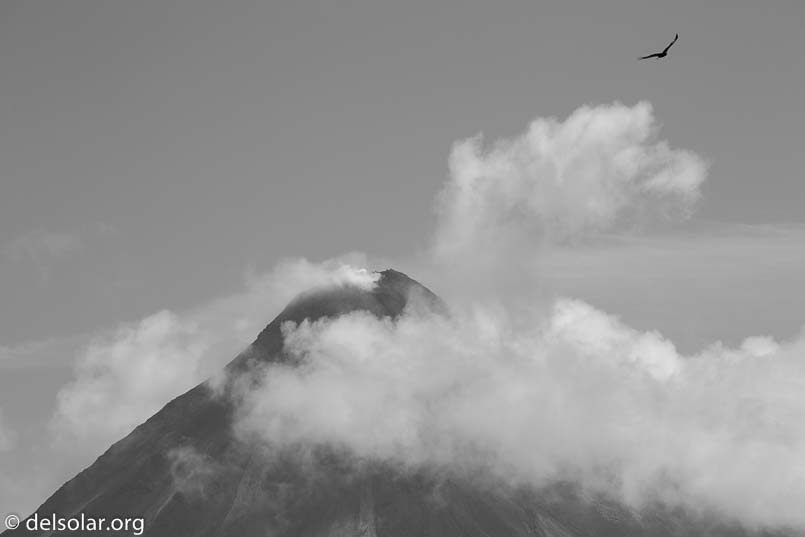 Canon EOS 5D Mark III  --  200 mm  --  EF100-400mm f/4.5-5.6L IS II USM  