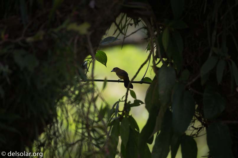 Canon EOS 5D Mark III  --  400 mm  --  EF100-400mm f/4.5-5.6L IS II USM  