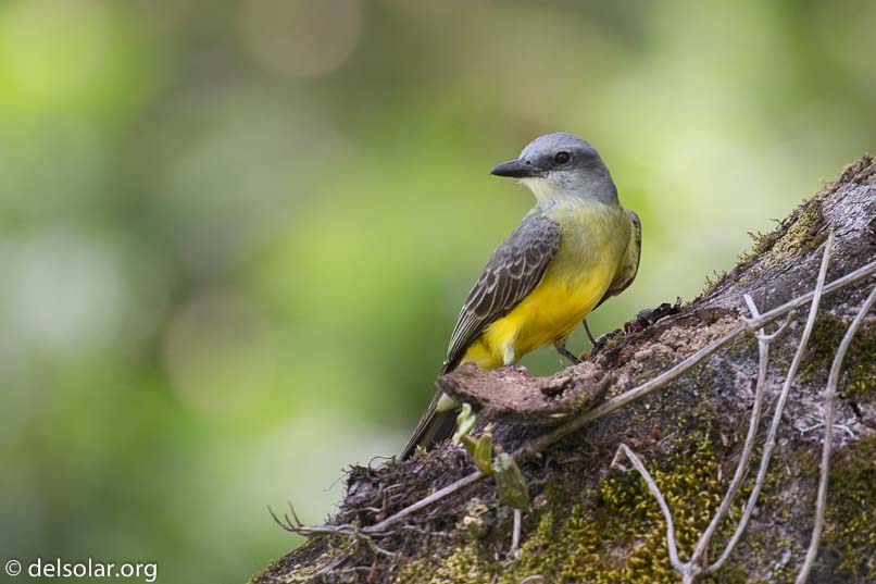 Canon EOS 5D Mark III  --  400 mm  --  EF100-400mm f/4.5-5.6L IS II USM  