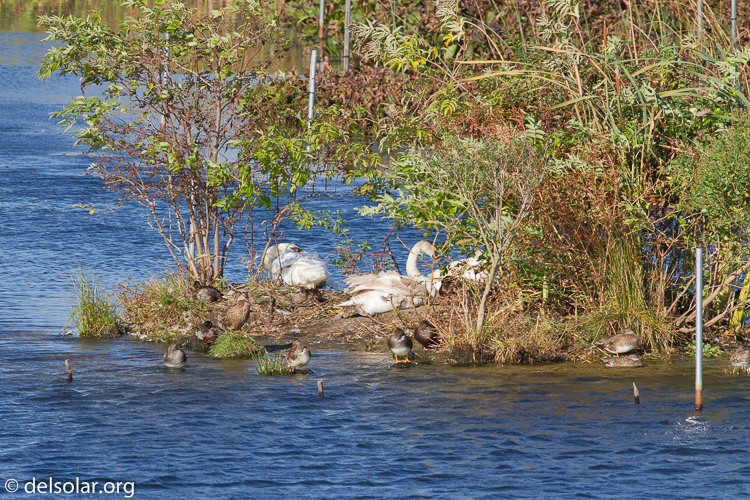 Canon EOS 7D  --  400 mm  --  EF400mm f/5.6L USM  