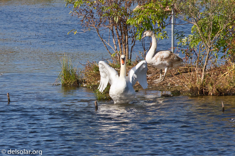 Canon EOS 7D  --  400 mm  --  EF400mm f/5.6L USM  