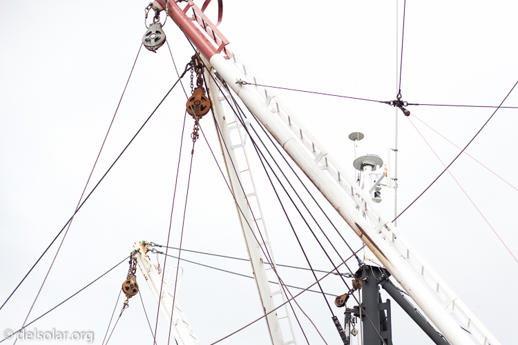 Canon EOS 5D Mark II  --  50 mm  --  EF50mm f/1.4 USM  