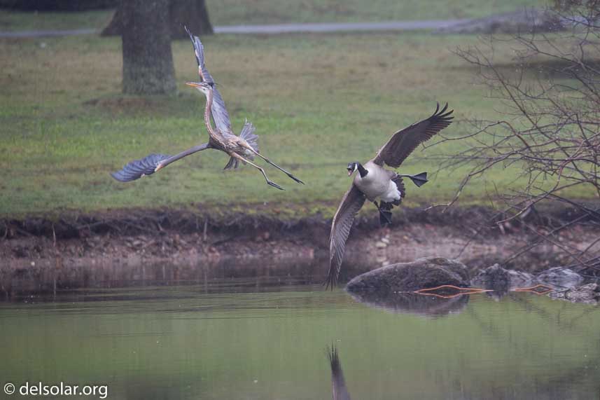 Canon EOS 5D Mark III  --  400 mm  --  EF100-400mm f/4.5-5.6L IS II USM  