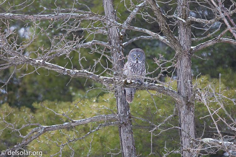 Canon EOS 5D Mark II  --  300 mm  --  EF300mm f/2.8L IS USM  