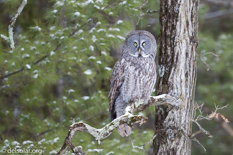 Canon EOS 5D Mark II  --  300 mm  --  EF300mm f/2.8L IS USM  