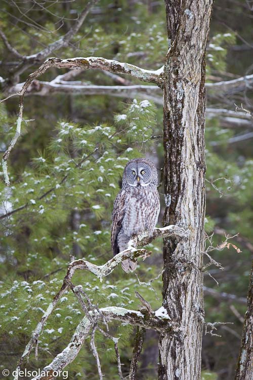 Canon EOS 5D Mark II  --  300 mm  --  EF300mm f/2.8L IS USM  