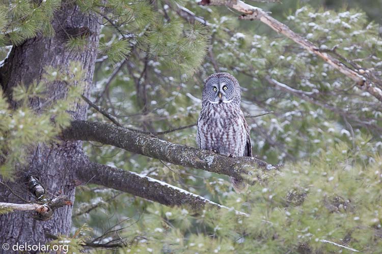 Canon EOS 5D Mark II  --  300 mm  --  EF300mm f/2.8L IS USM  