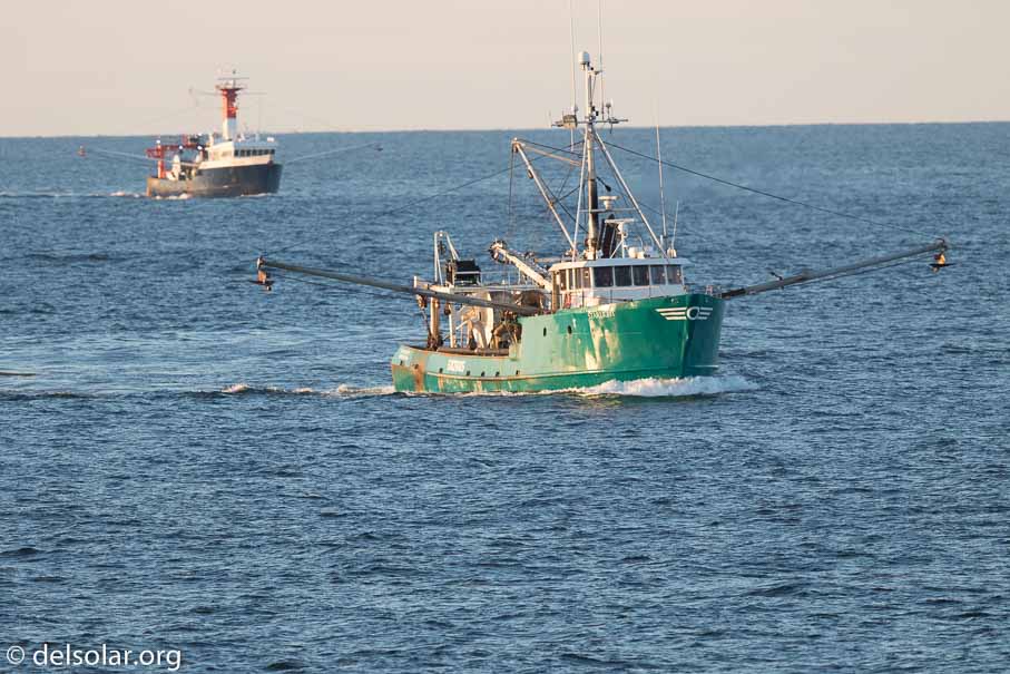 Canon EOS 7D Mark II  --  600 mm  --  EF600mm f/4L IS II USM  