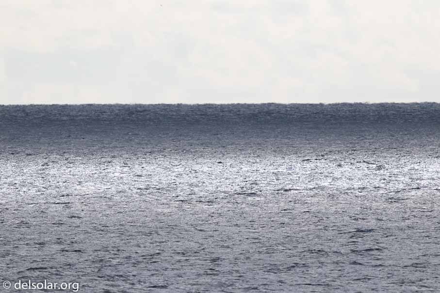 Canon EOS 7D Mark II  --  840 mm  --  EF600mm f/4L IS II USM +1.4x III  