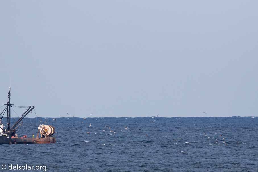 Canon EOS 7D Mark II  --  840 mm  --  EF600mm f/4L IS II USM +1.4x III  