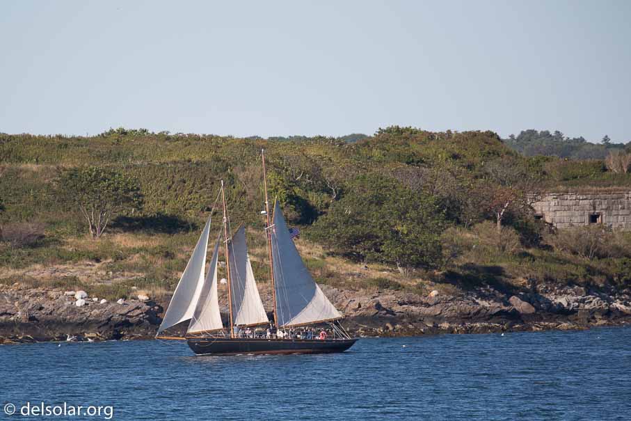 Canon EOS 5D Mark III  --  400 mm  --  EF100-400mm f/4.5-5.6L IS II USM  